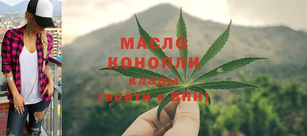 крисы Верхний Тагил