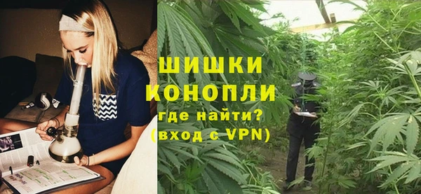 крисы Верхний Тагил